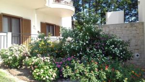 Studio with Garden View