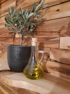 little olive tree house