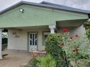 Vila Rio - obronci Fruške Gore - Staji°evo