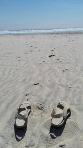 Apartamento La Zarzuela