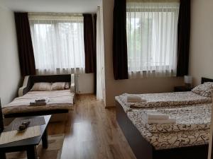 Borovets Gardens Studio D36