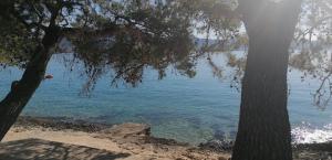 House FIDULIC - Penthouse THE VIEW