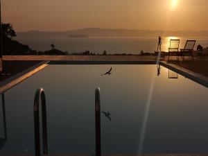 The Free Bird - Private Villa Halkidiki Greece