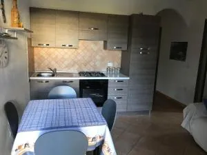 Blue House - 巴德希