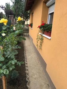 Dália apartman Gyömrő