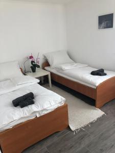 Dália apartman Gyömrő