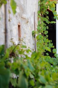 Romantic Boutique Hospitality