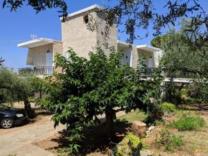 Oasis Apartments Messinia Greece