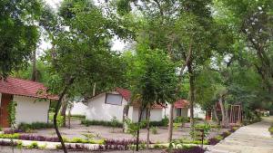 Aranya Vilas - A Nature Resort
