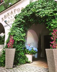 瑟纳特酒店 - 扎莫希奇