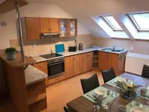 Apartmán v podkroví - Pěkov