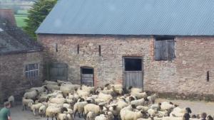 Upper Eyton Farmhouse B&B