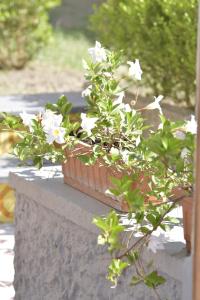 William Apartment Sorrento