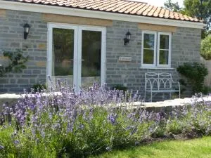 Littlemead - Newly renovated private studio near Glastonbury - Meare