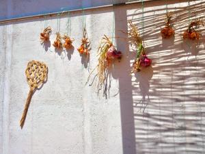 Agriturismo Casa di Campagna