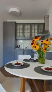 APARTAMENT WILKASY II (k. Giżycka ) - 维尔卡瑟