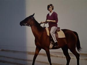 Chez Coco, 7 persons, triangle dor, hypercentre