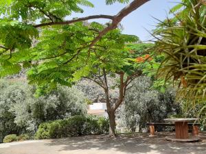 Respira by CanariApartment - Peaceful Nature Retreat