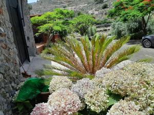 Respira by CanariApartment - Peaceful Nature Retreat