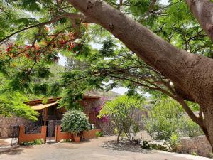 Respira by CanariApartment - Peaceful Nature Retreat