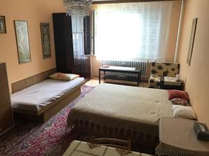 Sunny appartment by the river