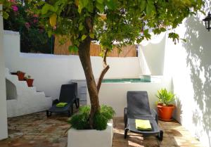 Casa el Patio del Limón, con piscina