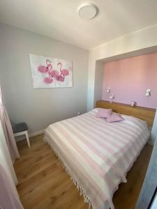 Apartament na Wspólnej ( centrum, garaż )