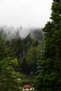 Namasté photo 15