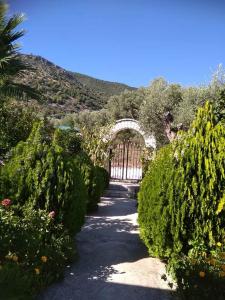 ziogas apartment Epirus Greece