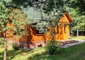 Pod Dębem Bis - Daniłowce