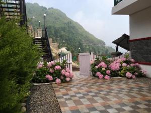 VEENUS COTTAGE-views heater bonfire barbeque wifi MUSSOORIE