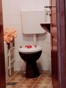 Apartments Djakonovic