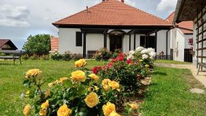 POČITNIŠKA HIŠA KOG