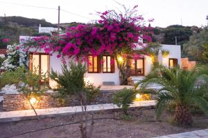 Villa Celestina, Great for Privacy and Seclusion Sifnos Greece