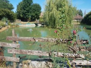 Ferme bressane les Arums