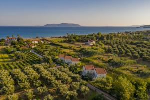 Maria Studios Messinia Greece