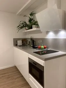 Designer Loft Apartment in Delft city new 38B - Pijnacker