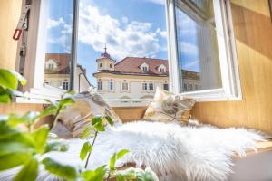 Old Quarter Residence