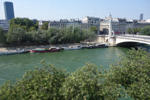 Paris-sur-seine-chez-caroline