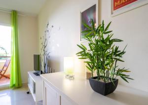 Playa Torrecilla Piscina Centro 2 Habitaciones