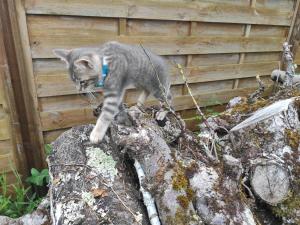 Chambres dhôtes La Ferme du Grand Launay