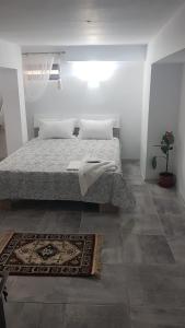 Casa Andrei Techirghiol