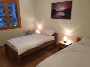 Appartements Deluxe Ski and Summer Apartment, Parking and WiFi : photos des chambres