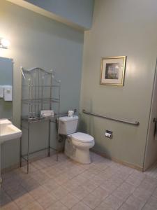 King Room with Roll-In Shower - Disability Access room in Butterfly Grove Inn