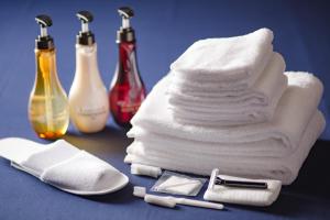 Hotel Tokyo Garden Palace