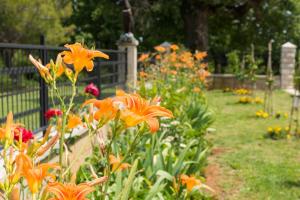 Lovely House LINDI in Poreč