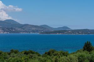 Casa di Colona Studio