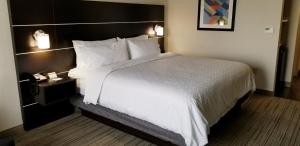 Standard King Room room in Holiday Inn Express & Suites Troy an IHG Hotel