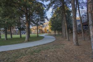 Skiers Four-Leaf Clover