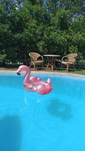 Kuca na selu sa bazenom